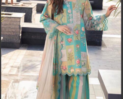 The Art of Pakistani Fashion: Tradition Meets Modernity